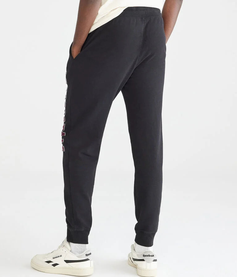Sudadera Vertical Aeropostale Heritage