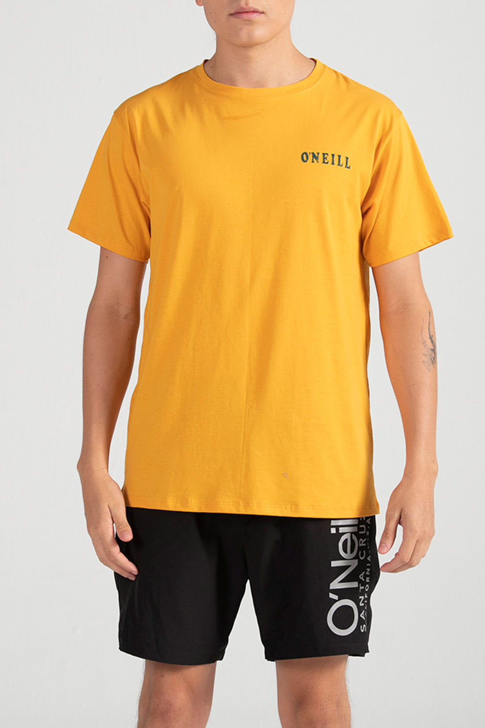 CAMISETA ONEILL SLIM FIT SHAVED ICE HOMBRE