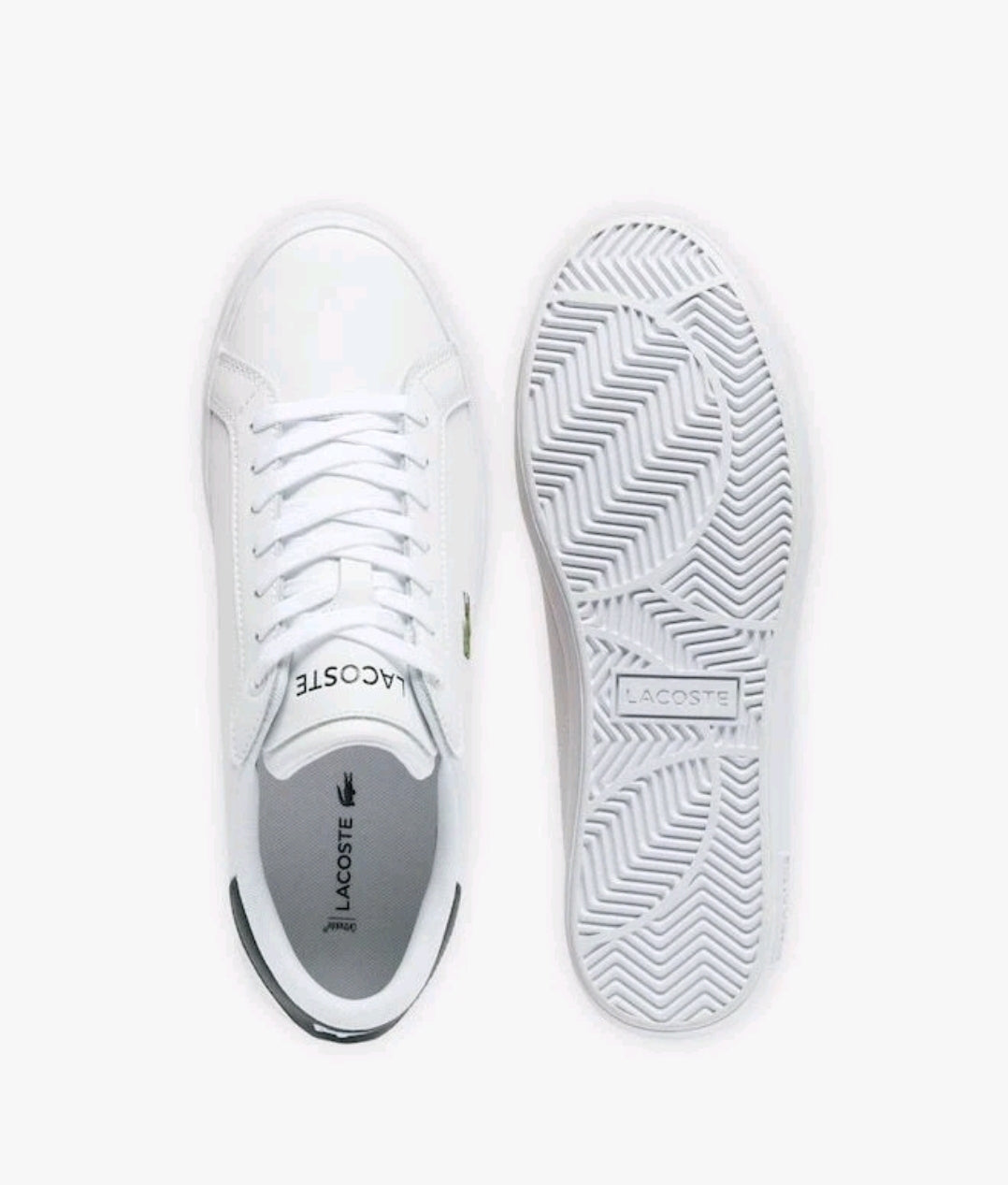 Zapatos Lacoste de cuero Powercourt