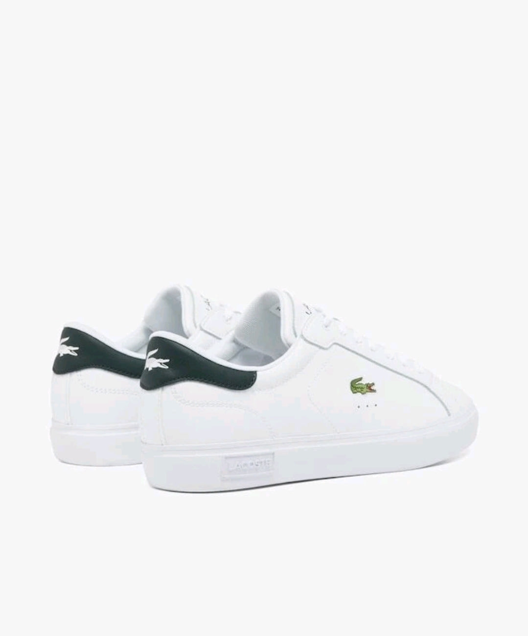 Zapatos Lacoste de cuero Powercourt